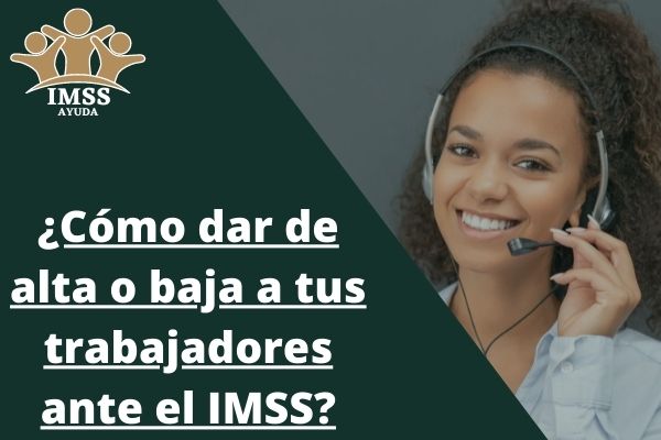 ☑️ Alta Y Baja De Trabajadores Imss 》guía Completa 5042