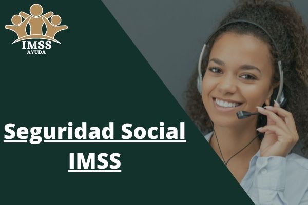 Seguridad Social IMSS